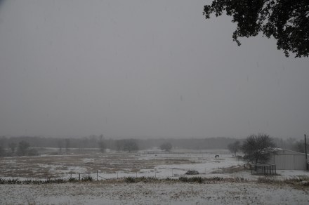Winter 2.11.2010, Poprock Pasture