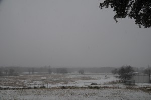 Winter 2.11.2010, Poprock Pasture