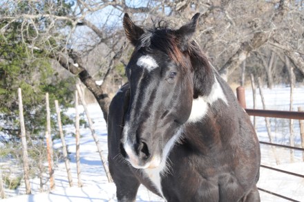 Star Bars Moore will be just fine.